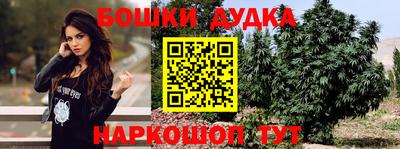 бошки Будённовск