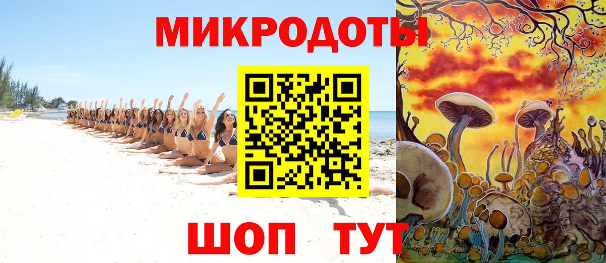 Мирный  цены   Вход с VPN  Псилоцибиновые грибы GOLDEN TEACHER 